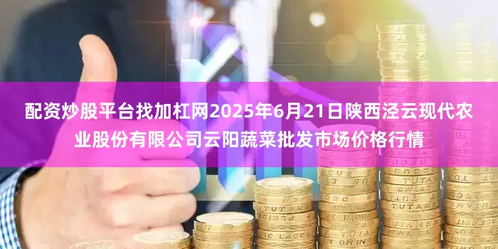 配资炒股平台找加杠网2025年6月21日陕西泾云现代农业股份有限公司云阳蔬菜批发市场价格行情