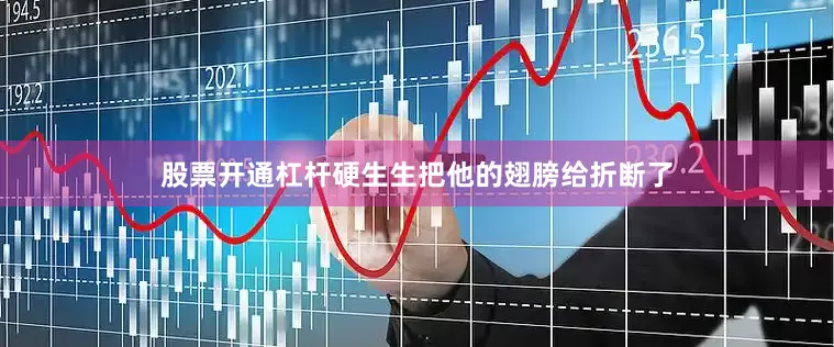 股票开通杠杆硬生生把他的翅膀给折断了