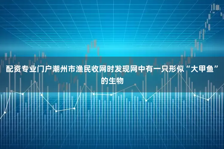 配资专业门户潮州市渔民收网时发现网中有一只形似“大甲鱼”的生物